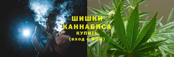 спайс Гусь-Хрустальный