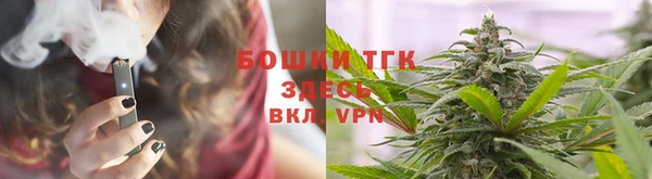 спайс Гусь-Хрустальный