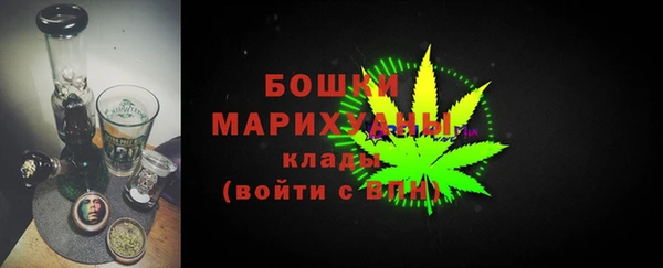 спайс Гусь-Хрустальный
