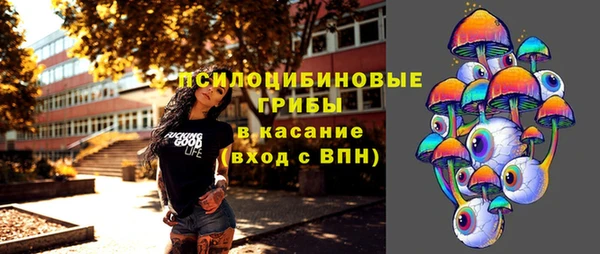 спайс Гусь-Хрустальный