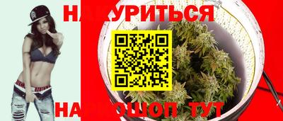 индика Кандалакша